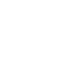 Dubai Police