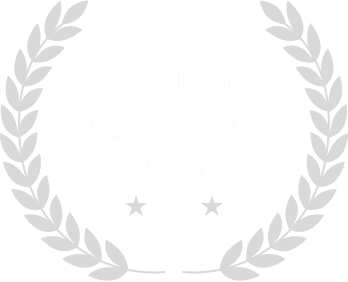 WebCastle industry award