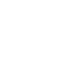 Kottakkal Ayurveda