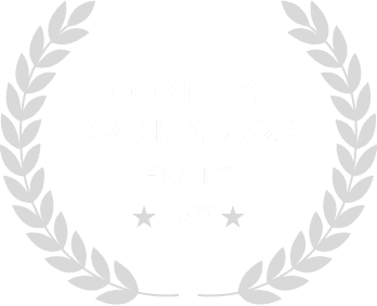 Certification Best Ecommerce Agency Award 2023