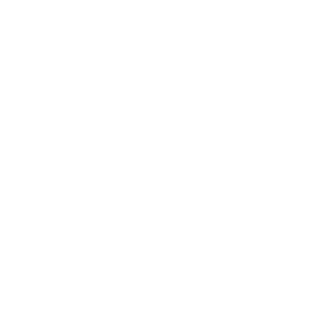 Santa Monica UAE