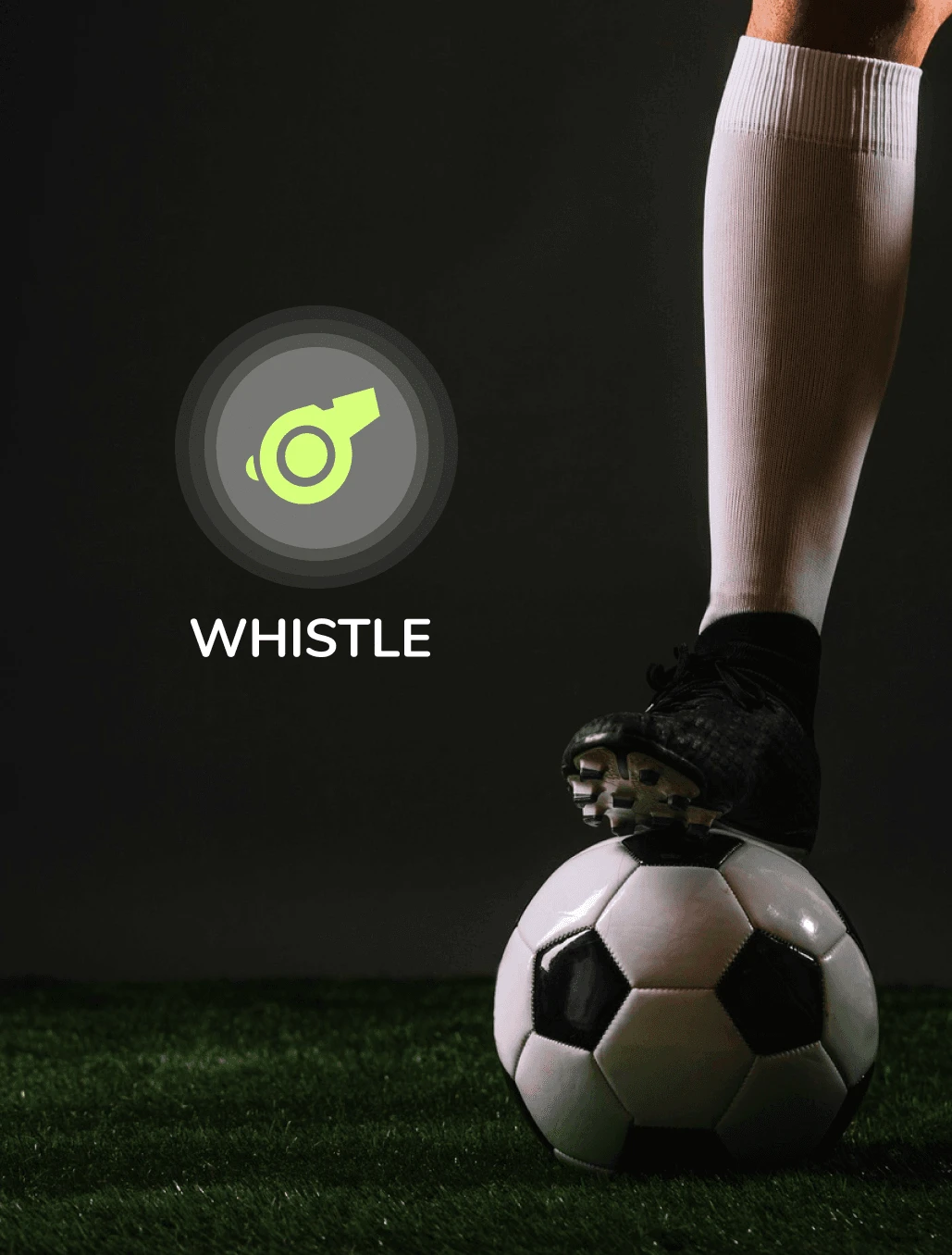 Whistle
