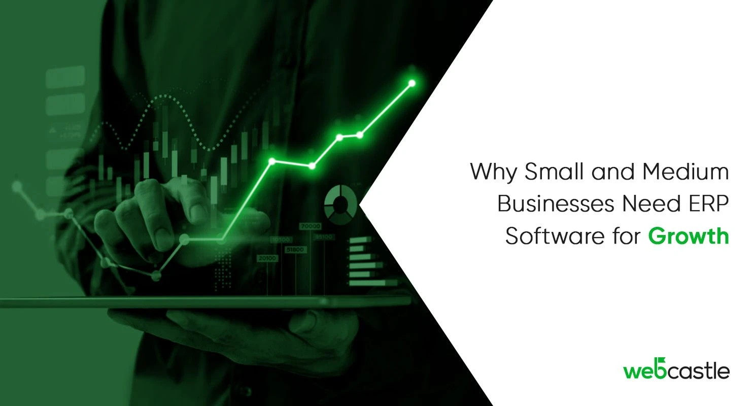 Why Do Small and Medium Businesses Need ERP Software for Growth?