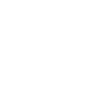 Reporter
